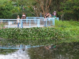 Lagoon at INBioparque